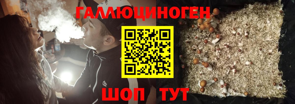 Псилоцибиновые грибы Psilocybe Амурск